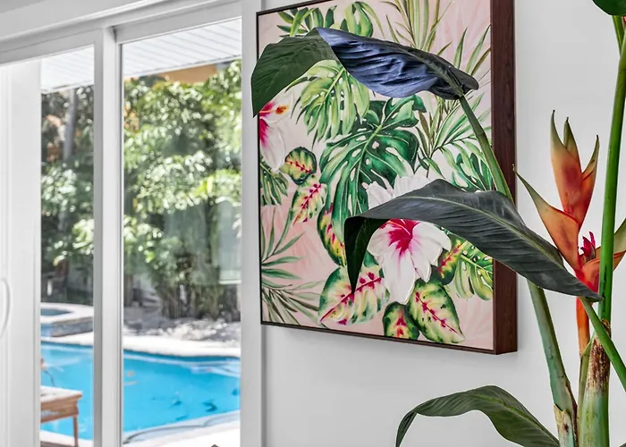Caladesi Oasis Beautiful Coastal In North Clearwater *